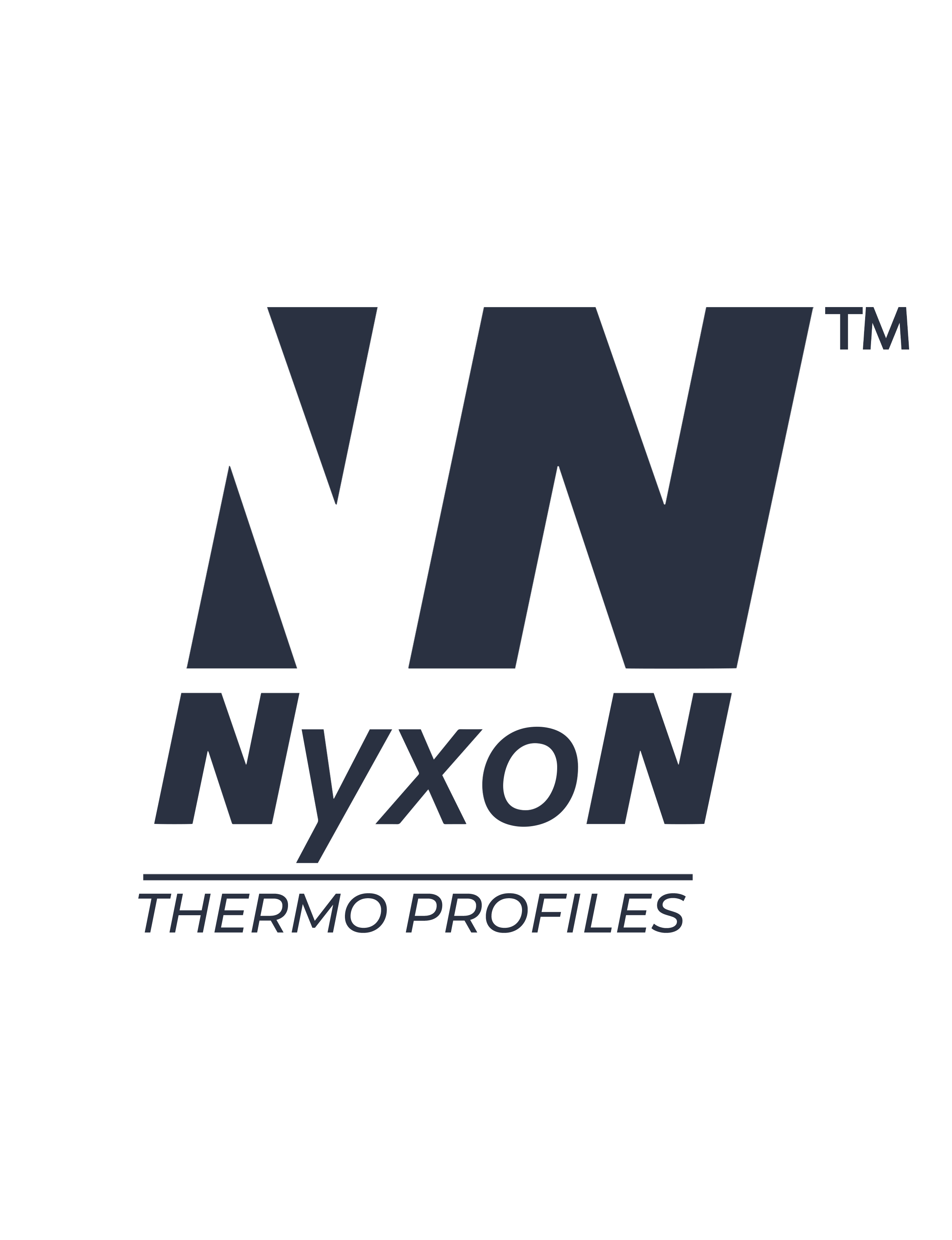 Nyxon Logo TM